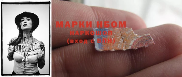 индика Пестово