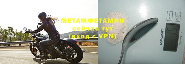 индика Пестово
