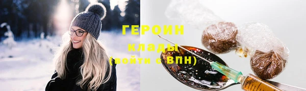 индика Пестово