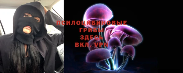 индика Пестово