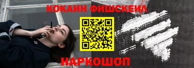 крисы Бийск