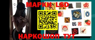 крисы Бийск