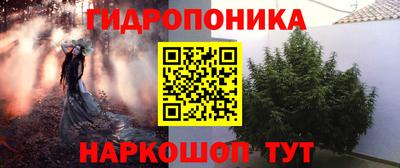 крисы Бийск