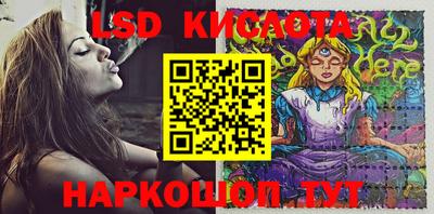 spice Берёзовский