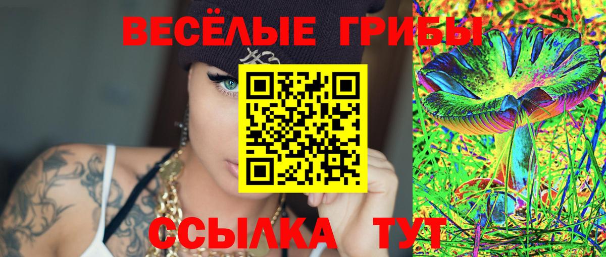 Галлюциногенные грибы ЛСД  Псилоцибиновые грибы прущие грибы  Скопин  Вход с VPN 