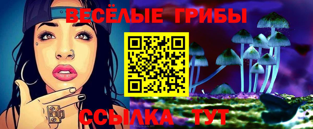 Псилоцибиновые грибы мухоморы Скопин