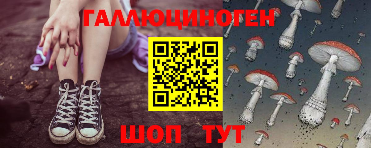 Псилоцибиновые грибы мицелий Скопин